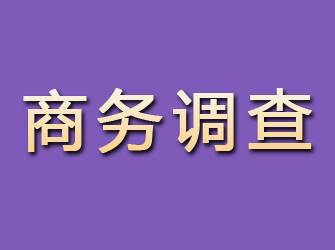 彭山商务调查